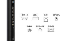 Televize TCL 55C6K 
