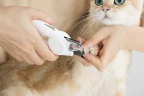 Nůžky na drápky Petkit LED Nail Clipper PRO bílé

 obrázek produktu 2 z 7