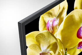 Televize Sony KD-55XG8096 

 obrázek produktu 5 z 8