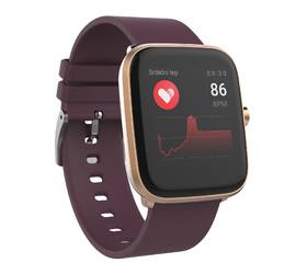 Chytré hodinky iGET FIT F20 zlaté

 obrázek produktu 3 z 5
