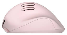 Myš HP Tilt Ergonomic Mouse 720M růžová

 obrázek produktu 3 z 5