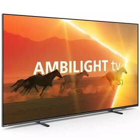 Televize Philips 55PML9008 
