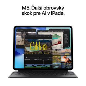 Dotykový tablet Apple iPad Pro 13" M5 Wi‑Fi 256 GB standardní sklo - vesmírně černý 

 obrázek produktu 9 z 14