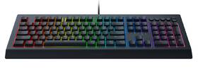 Klávesnice Razer Cynosa V2 černá

 obrázek produktu 1 z 4