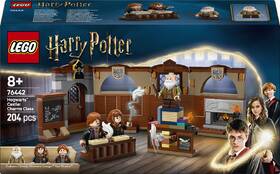 Stavebnice LEGO® Harry Potter™ 76442 Bradavický hrad: Hodina kouzelných formulí 

 obrázek produktu 5 z 8