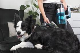 Tyčový vysavač Concept VP6130 Iconic Animal Smart Flex 29,6 V 

 obrázek produktu 36 z 38