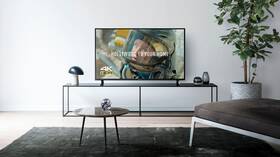 Televize Panasonic TX-49FX603E 

 obrázek produktu 8 z 8