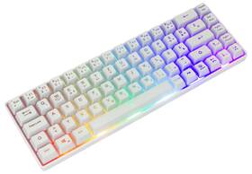 Klávesnice White Shark RONIN, US layout bílá

 obrázek produktu 1 z 4