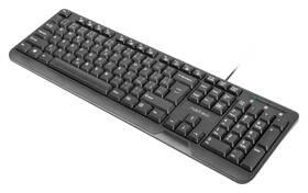 Klávesnice Natec Trout, CZ/SK layout černá

 obrázek produktu 4 z 5
