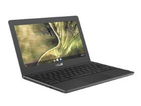 Notebook Asus Chromebook C204 šedý

 obrázek produktu 4 z 9