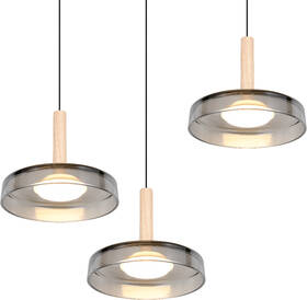 Závěsné svítidlo TRIO CELESTE, LED černé

 obrázek produktu 2 z 6