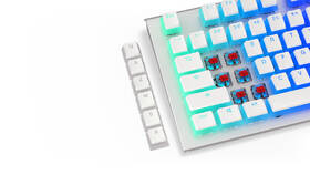 Klávesy ENDORFY PBT Pudding Onyx bílé

 obrázek produktu 4 z 7