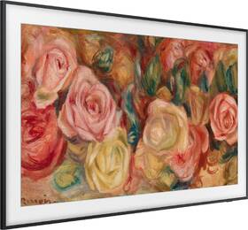 Televize Samsung QE65LS03D 
