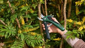 Nůžky na větve Bosch EasyPrune 

 obrázek produktu 2 z 3