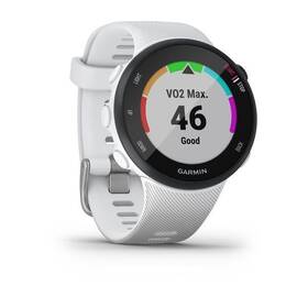 Chytré hodinky Garmin 45S Optic bílé

 obrázek produktu 6 z 9