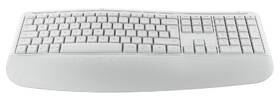 Klávesnice s myší Logitech Signature Comfort Plus MK880, US layout bílá

 obrázek produktu 6 z 23