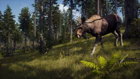 Hra THQ Nordic Xbox Series Way of the Hunter 

 obrázek produktu 1 z 11