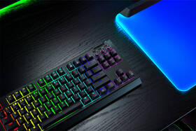 Klávesnice Razer BlackWidow V4 Tenkeyless HyperSpeed - US Layout černá

 obrázek produktu 14 z 14
