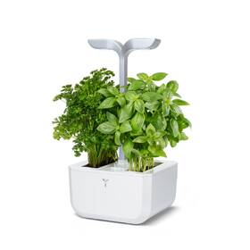 Chytrý květináč Véritable Exky SMART bílý

 obrázek produktu 3 z 11