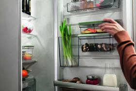 Sada Electrolux EVFB1 

 obrázek produktu 4 z 4
