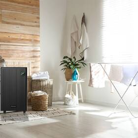 Odvlhčovač Rohnson R-91120 Double Filter & Ionizer 

 obrázek produktu 11 z 17