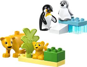 Stavebnice LEGO® DUPLO® 10442 Rodinky divokých zvířat: Tučňáci a lvi 

 obrázek produktu 1 z 9
