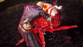 Hra SQUARE ENIX PlayStation 5 Stranger of Paradise: Final Fantasy Origin 

 obrázek produktu 8 z 9