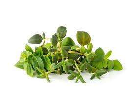Semínka Click and Grow Mix italských bylin (9 ks) 

 obrázek produktu 1 z 1
