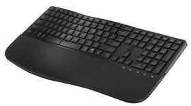 Klávesnice HP 680 Comfort Dual-Mode CZ/SK černá

 obrázek produktu 6 z 10