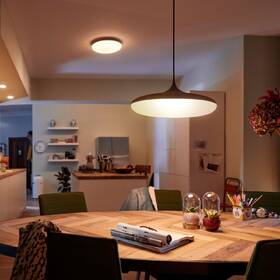 Závěsné svítidlo Philips Cher White Ambiance černé

 obrázek produktu 3 z 6