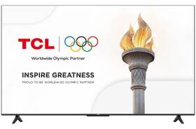 Televize TCL 55P6L 

 obrázek produktu 12 z 16