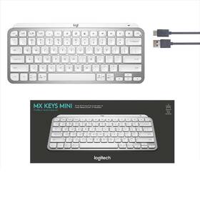 Klávesnice Logitech MX Keys Mini, US šedá

 obrázek produktu 8 z 8