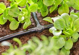 T-spojka Gardena MicroDrip System 4,6 mm (10 ks) 

 obrázek produktu 4 z 5
