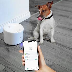Chytrá fontánka Tellur TLL331471 Wi-Fi 2l bílá

 obrázek produktu 3 z 4