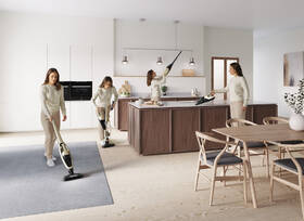 Tyčový vysavač Electrolux WQ71-P52SS 
