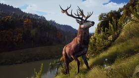 Hra THQ Nordic Xbox Series Way of the Hunter 

 obrázek produktu 6 z 11