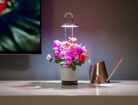 Chytrý květináč Click and Grow HydroVase bílý

 obrázek produktu 5 z 6