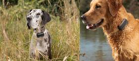 GPS lokátor Tractive DOG 6 XL –  pro psy se sledováním životních funkcí a zdravotními upozorněními černý

 obrázek produktu 5 z 5