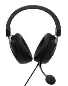 Headset Genesis TORON 301 Stereo černý

 obrázek produktu 1 z 6