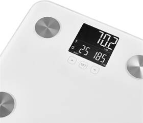 Osobní váha Sencor SBS 6025WH bílá

 obrázek produktu 4 z 8