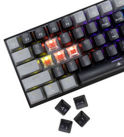 Klávesnice White Shark Wakizashi 2, Red Switch, CZ/SK layout černá

 obrázek produktu 3 z 7