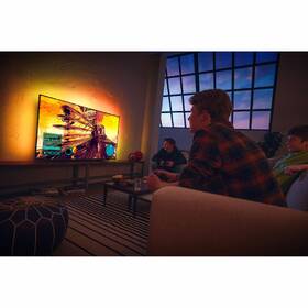 Televize Philips 55PML9008 
