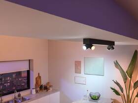Bodové svítidlo Philips Centris White and Color Ambiance 4 Spot černé

 obrázek produktu 3 z 5