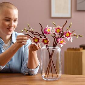 Stavebnice LEGO® Botanicals 11510 Větvičky magnólie 

 obrázek produktu 7 z 9