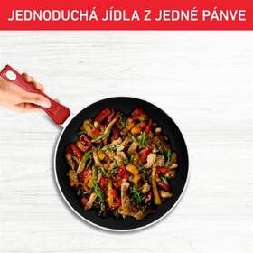 Pánev Tefal C2890402, 24 cm 

 obrázek produktu 7 z 10