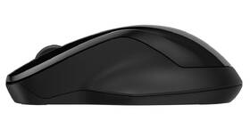 Myš HP 250 Dual černá

 obrázek produktu 2 z 5