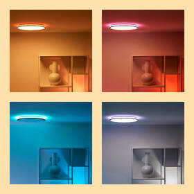 Stropní svítidlo WiZ Rune Ceiling 21 W RGB černé

 obrázek produktu 7 z 10