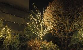 LED dekorace EMOS svítící stromek, 120 cm, 600 Nano LED, venkovní i vnitřní, teplá bílá, časovač 

 obrázek produktu 6 z 6