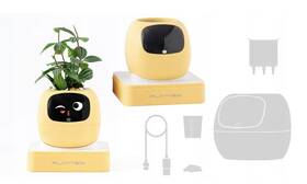 Chytrý květináč Plantsio IVY generace 2 žlutý

 obrázek produktu 2 z 4
