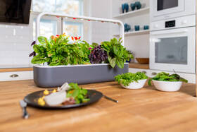 Chytrý květináč Click and Grow Smart Garden 9 šedý

 obrázek produktu 2 z 4